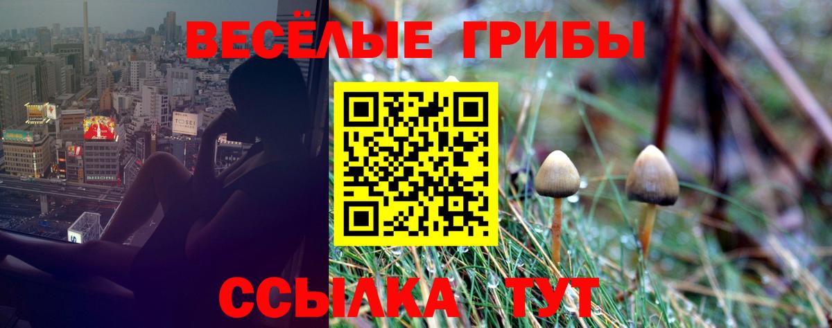 Валуйки  Псилоцибиновые грибы прущие грибы  Вход с VPN  Псилоцибиновые грибы прущие грибы 